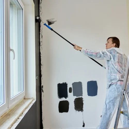 Interior & Exterior Painting (2)